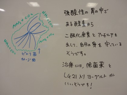 ☆ピロリ菌の除菌治療について　保険サロン刈谷店☆