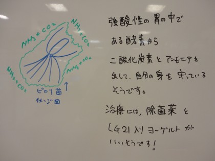 ☆ピロリ菌の除菌治療について　保険サロン刈谷店☆