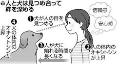 人と犬