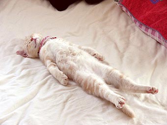 goodsleep
