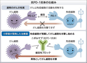 がん治療…夢の新薬？　名古屋いりなか店